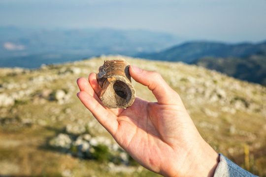 Greece, Peloponnese, Arcadia, Lykaion, hand holding find of a vase at the antique excavation site at mountain Profitis Ilias