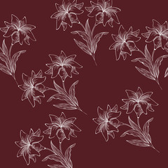 pattern plants and herbs isolated icon