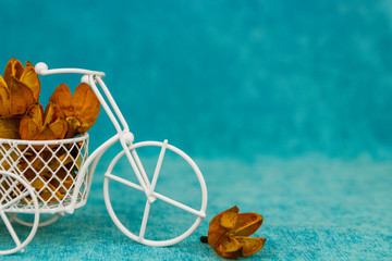 Small white decorative bike with petals