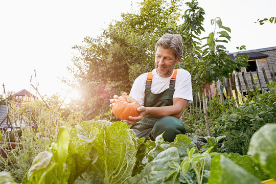 Mature man standing in his garden wearing apron