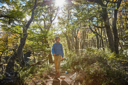 Chile, Cerro Castillo, boy on a hiking tour in forest