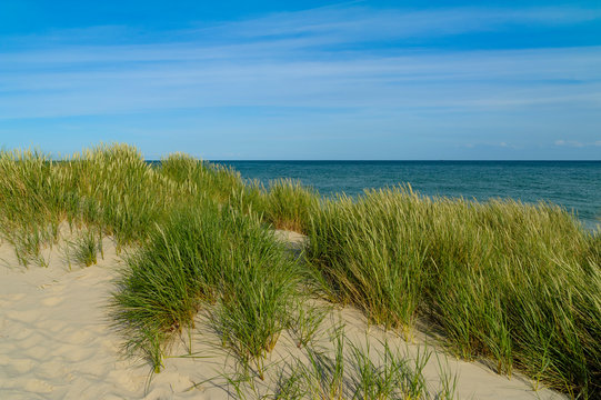 Denmark, Jutland, Skagen, Grenen, dune landscape