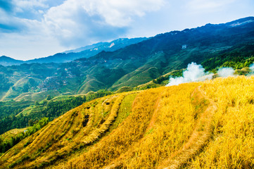Rice terraces scenery in autumn, Longsheng, China 