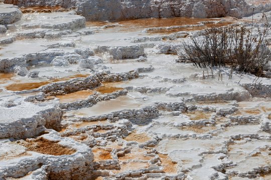 Sinter terraces, hot springs, mineral deposits, Palette Spring, Lower Terraces, Mammoth Hot Springs, Yellowstone National Park, Wyoming, USA, North America