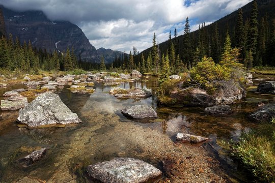 Babel Creek, near Lake Moraine, Banff National Park, Rocky Mountains, Alberta, Canada, North America