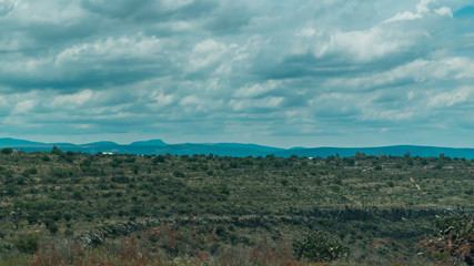 Beautiful green landscape