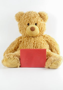 Teddy bear with red board on white. Copy space.