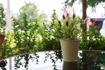 Fototapeta na wymiar small flower vase decor on black glass table