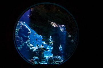 Aquarium Port