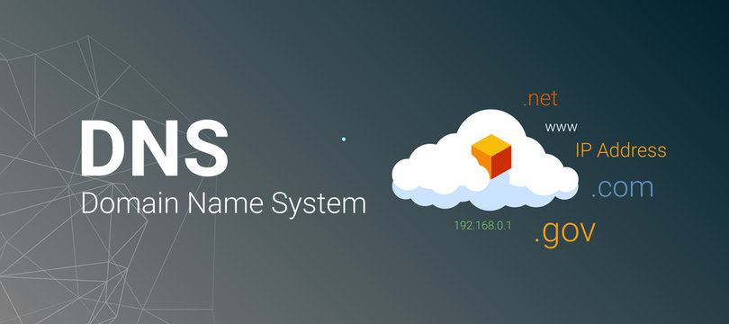 Domain Name Server ( DNS ). Server with database server illustration