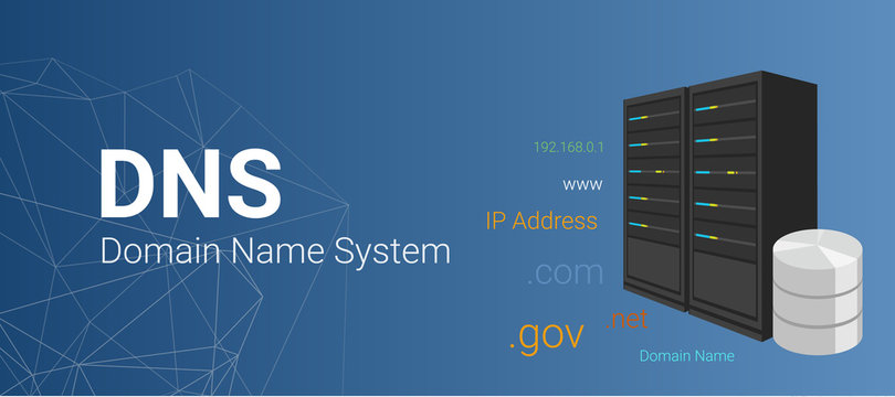 Domain Name Server ( DNS ). Server with database server illustration