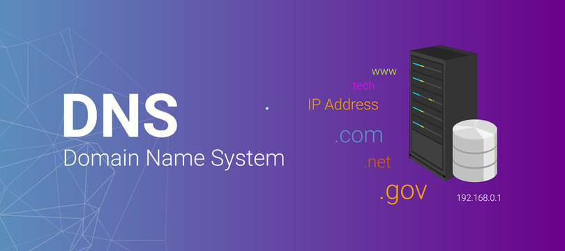 Domain Name Server ( DNS ). Server with database server illustration