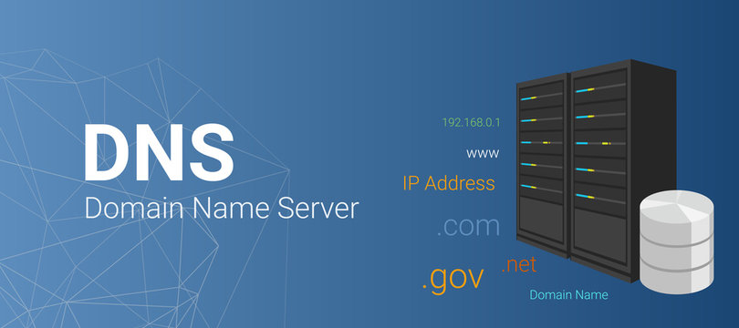 Domain Name Server ( DNS ). Server with database server illustration