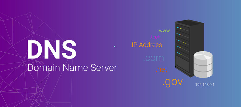Domain Name Server ( DNS ). Server with database server illustration