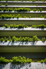 Plants Hanging on Building Ledge