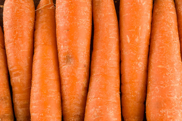 Close up of fresh carrots