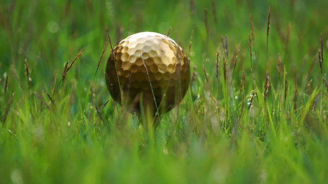 Golf golf ball and pins gold against the background of natural beauty, the ultimate victory of golf footage 4K