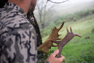 Rattle antlers
