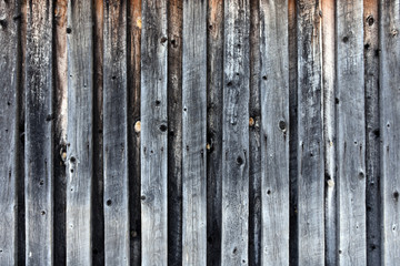 Old Rotten Wood Texture