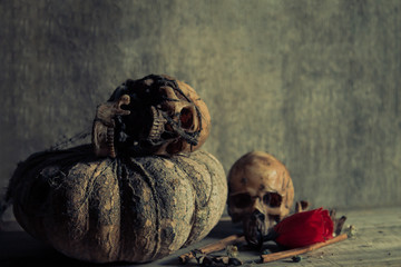 Old horror skulls in dark room with still life photography 