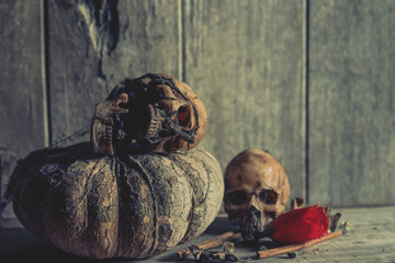 Old horror skulls in dark room with still life photography 