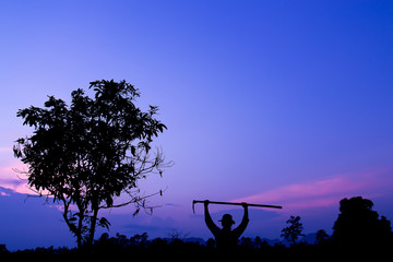 Silhouette of tree with evening sky and farmer in farm 