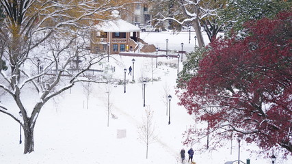 beautiful park after snowfall .