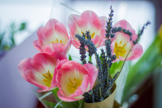 Close up image of the bouquet of fresh tulips
