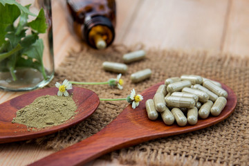 Herbal medicine in capsules for healthy eating 