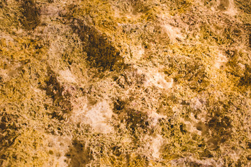 The surface of the plastic is degraded 