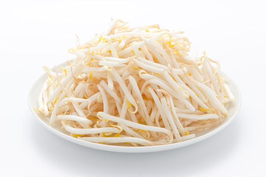 もやし