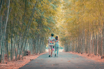 Back view of happiness Male and female couples walking hand in hand and fall in love along the bamboo park in the evening