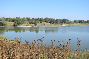 landscape with river and trees
