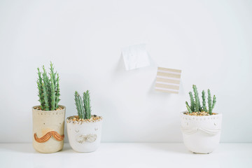 Succulents or cactus in clay pots plants in different pots. Potted cactus house plants with sticky note on white wall.