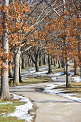 winter park walk way
