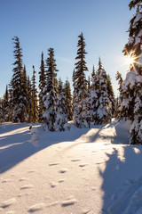 Beautiful Canadian Landscape View during a vibrant winter day. Taken on top of Zoa Peak near Hope, British Columbia, Canada.