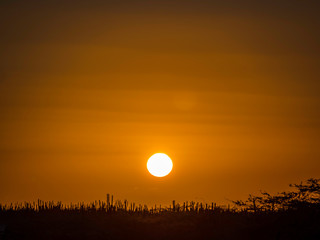 Beautiful sunrise over pastureland