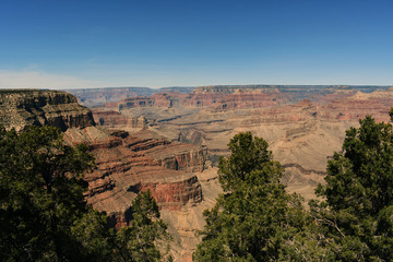 Fototapeta na wymiar beautiful view of grand canyon and trees