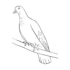 bird at tree branch