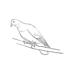 bird at tree branch