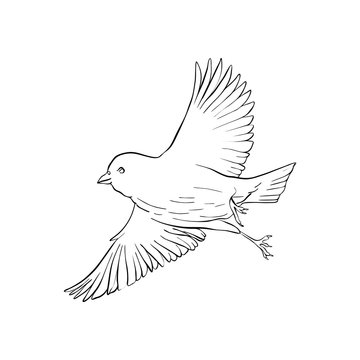 recommend clip art: vector flying bird
