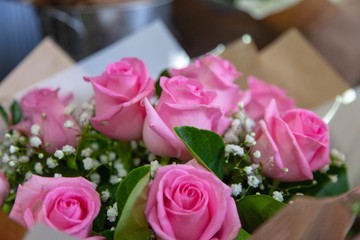 Beautiful roses