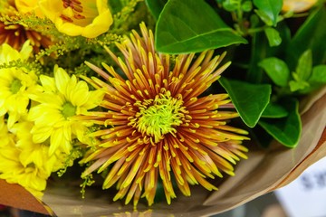 beautiful flowers