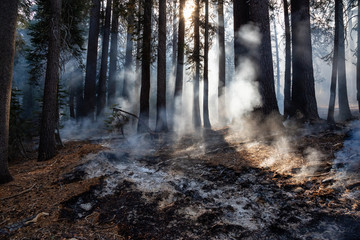 Wild forest fire in Yosemite National Park, California, United States of America. Taken in Autumn season of 2018.