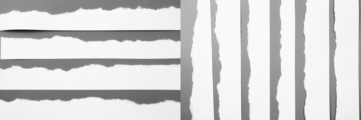Sets white torn paper on gray background. collection paper rip