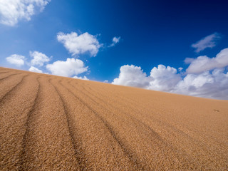 Fototapeta na wymiar Beautiful scenery at the sand dunes of Punta Gallinas desert in Colombia