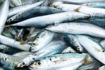 Fresh sea fish in basket at Mui ne tradition market, Vietnam