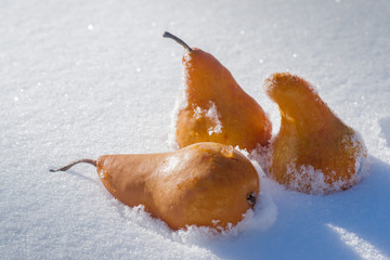 Fun in the Snow Pears