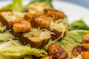 ensalada cesar con camarones 