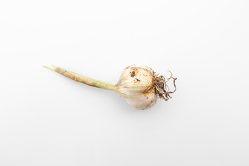 garlic on white background. Top View garlic from garden.